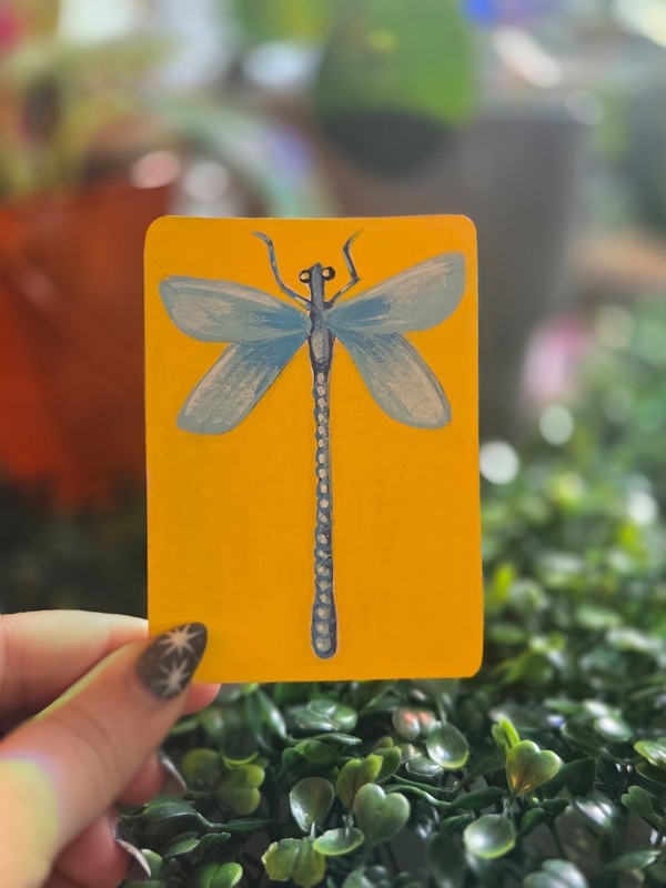 ACEO Original Dragon Fly Acrylic Painting Bug Art 5/16 Signed by Ziggy Sands