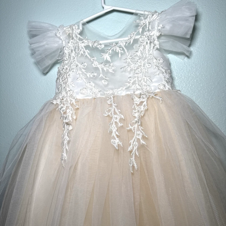 Vestidos Ellie Niña Flor 12-24 Encaje Tul Falda Tren Marfil/Blanco NUEVO $175.00 Foto 3 de 4