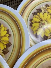 Plates Set Of 4 VTGCamping RV Picnic 10" National Home Products NHP Artisan Ware