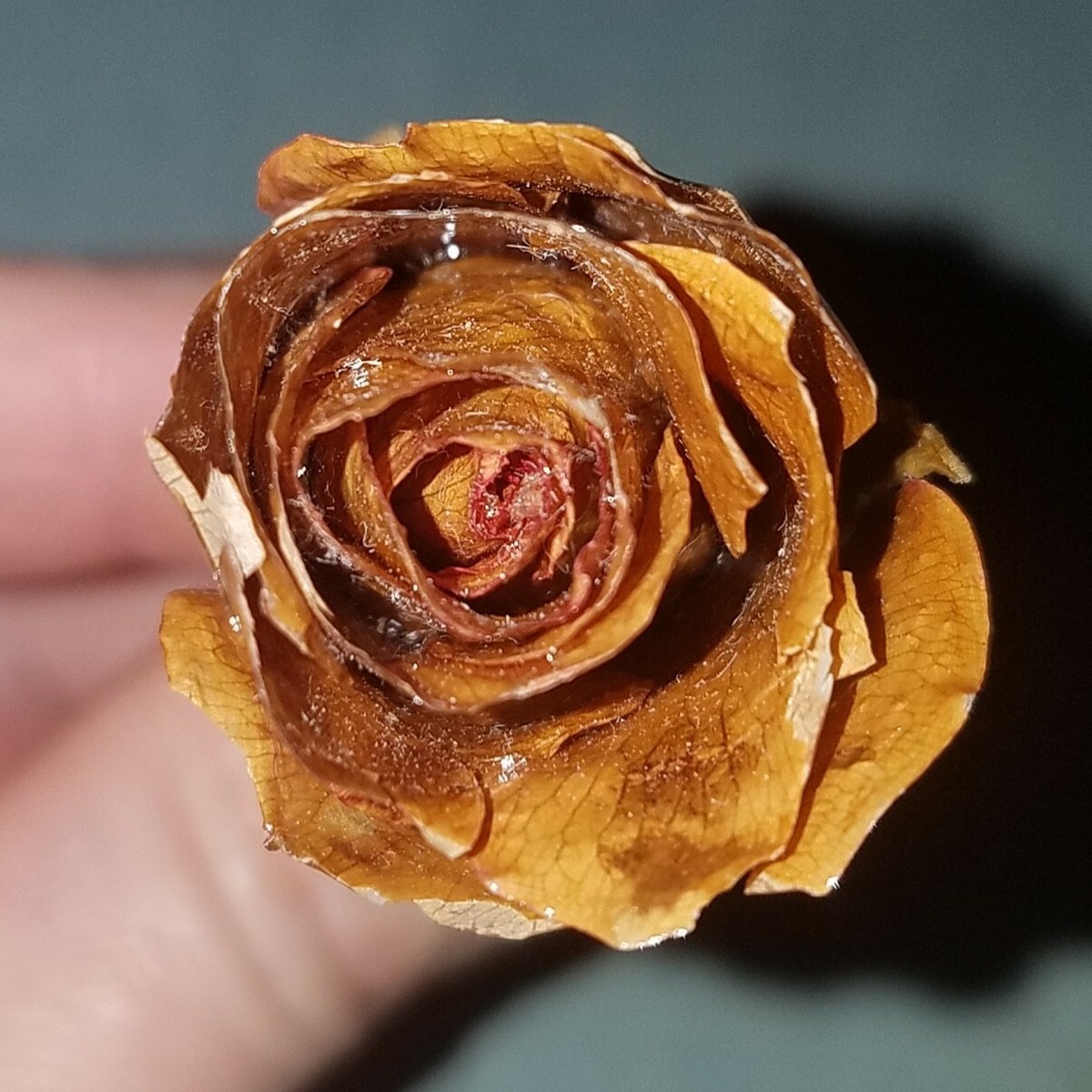 Broche Vintage 1979 Cristalle - Rose En Bâton Véritable Doré - Neuf Sans Emballage