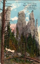 Black Hills South Dakota SD : NATURE SCENE d/13 AV8264