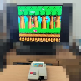 Adventure Island Nintendo NES Famicom Takahashi Meijin no Bouken Jima Japan