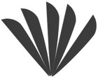 Foto 2 di 10