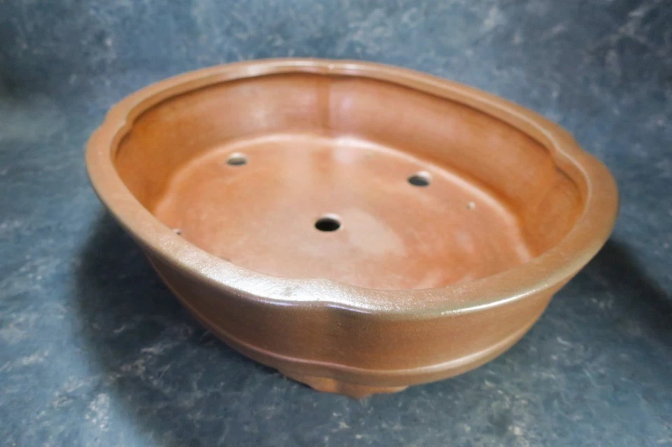 Vaso per bonsai giapponese originale "Nakano Yuji" di Tokoname. - Immagine 3 di 4