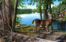 Lakeside Buck by Kevin Daniel Fine Art Print Deer Wildlife Lake Hunt Cabin 18x26