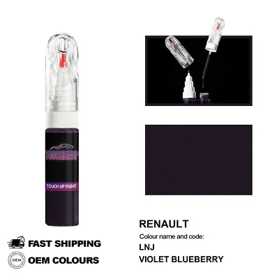 TOUCHMEUP POUR RENAULT VIOLET BLUEBERRY LNJ Kit de réparation pinceau stylo peinture re...