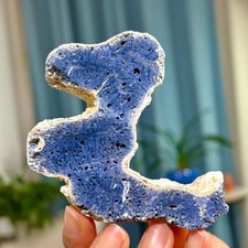 81G Natural Blue Coral Reef Cluster Marine Mineral Crystal Specimen