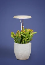 AeroGarden Stem Grow Light - Cream White