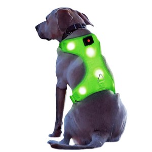 light up harness