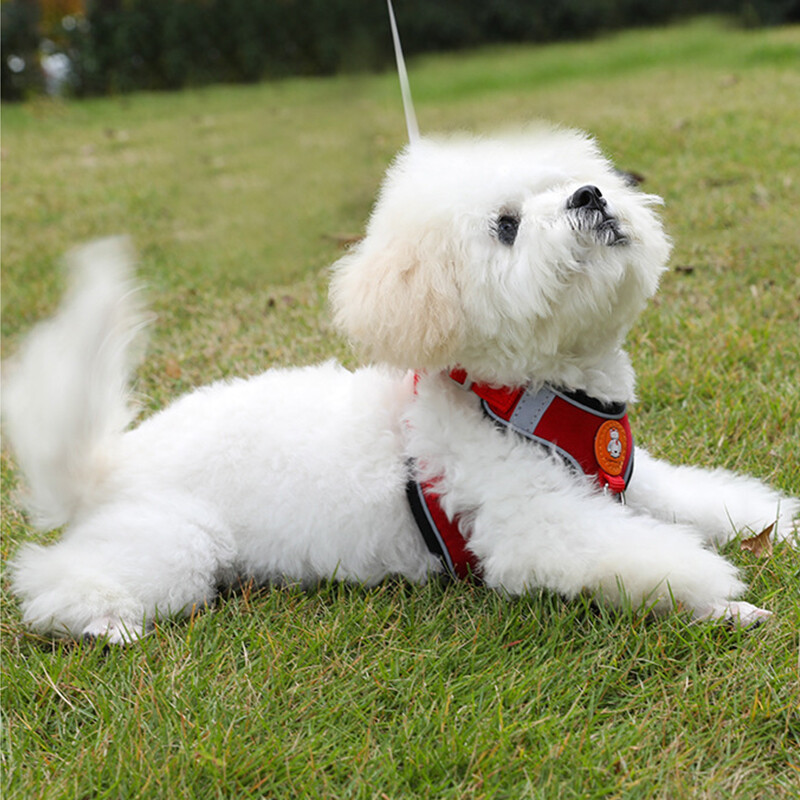 Dog Harness Cat Lead Puppy Leash VEST Mesh Breathe Adjustable Braces