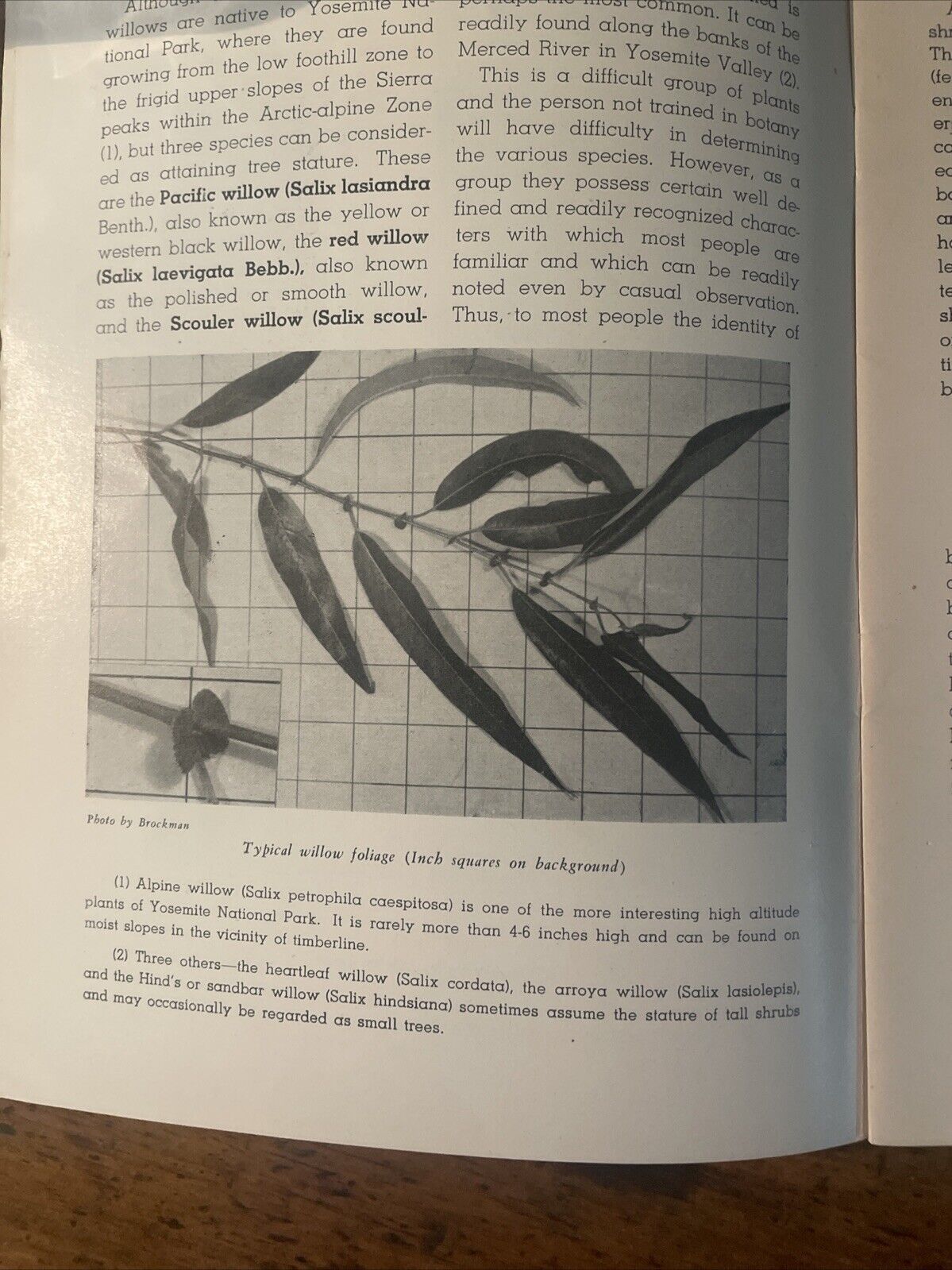 Picture 3 of 4