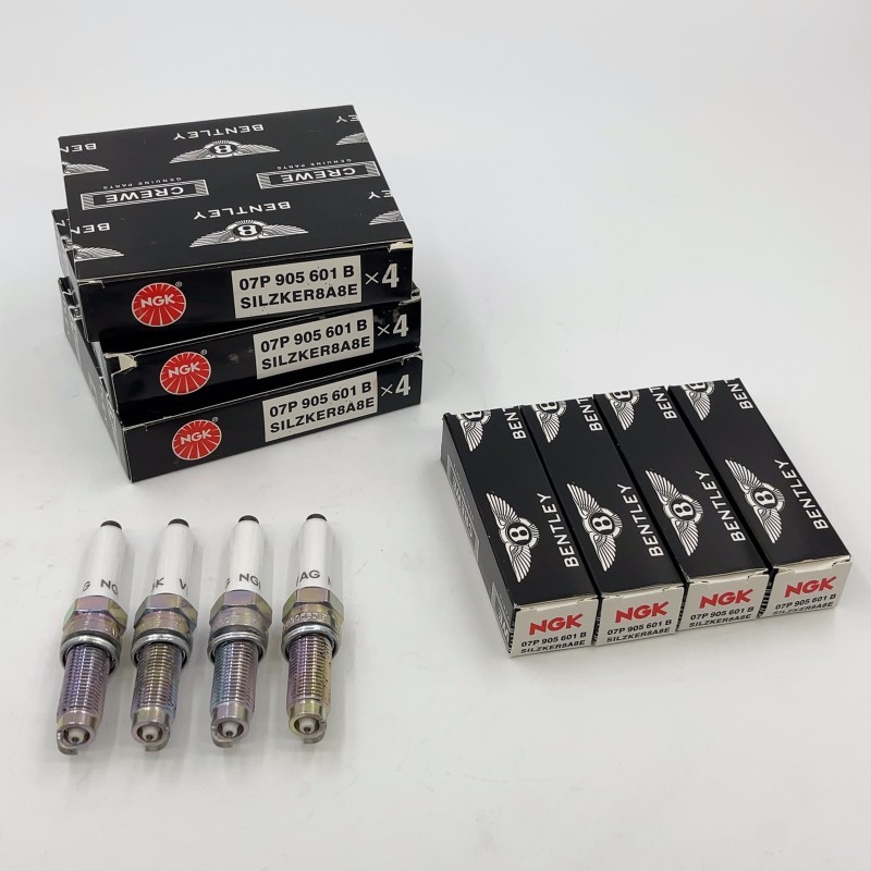 12X OEM Spark Plugs Fitting Bentley W12 6.0T 07P905601 A B W12