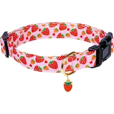 Adjustable Soft Strawberry Dog Collar with Pendant for Small Medium Large Dogs