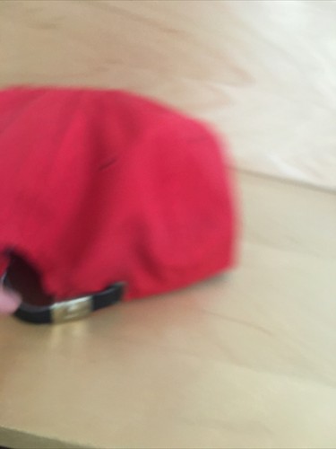 Vintage The Wigwam Litchfield Pheonix AZ Golf Club Rope Dad Hat USA - 第 5/8 張圖片