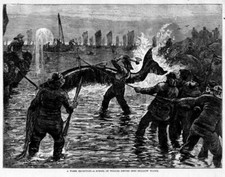 WHALE HUNTING SLAUGHTER, FISHERMEN HARPOON AXE WHALES