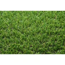 TrafficMaster 5 ft. x 7 ft. Pre-Cut Artificial Grass Rug – Green Synthetic Turf