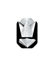 Paisley Ties for Men Solid Tie Handkerchief Floral Men's A2-silver White