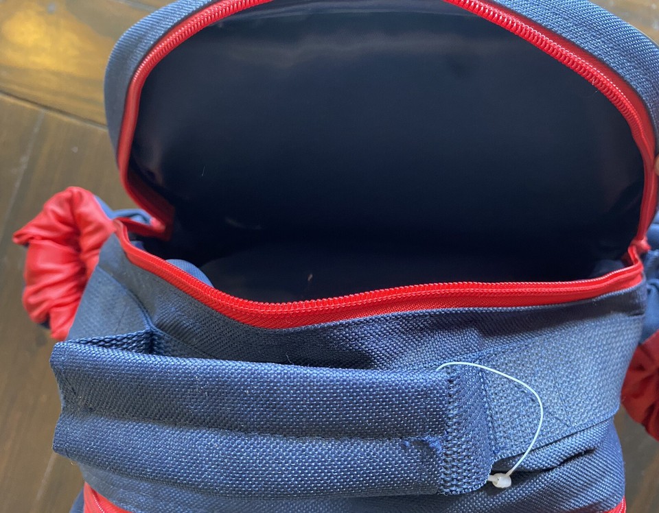 Picnic Backpack Wine and Cheese Set for 4 with Detachable Bottle Cooler