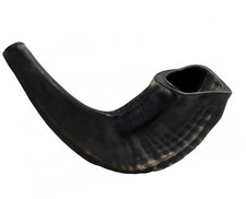 Kosher Ram Horn Shofar from Israel Polished Black Rosh Hashanah  Yom Kippur 11"