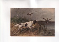 F7771) Cartolina, CACCIA - Cani cane da caccia caccia anatre - vecchia cartol...