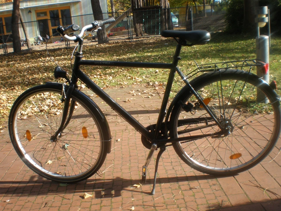 Triumph Kultrad Herrenfahrrad Fahrrad 28 Zoll für Bastler