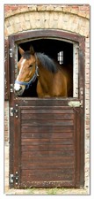 Türposter Türtapete 93x205cm - Pferd Stall Tür Tor Pferdekopf Rappe braun Reiten