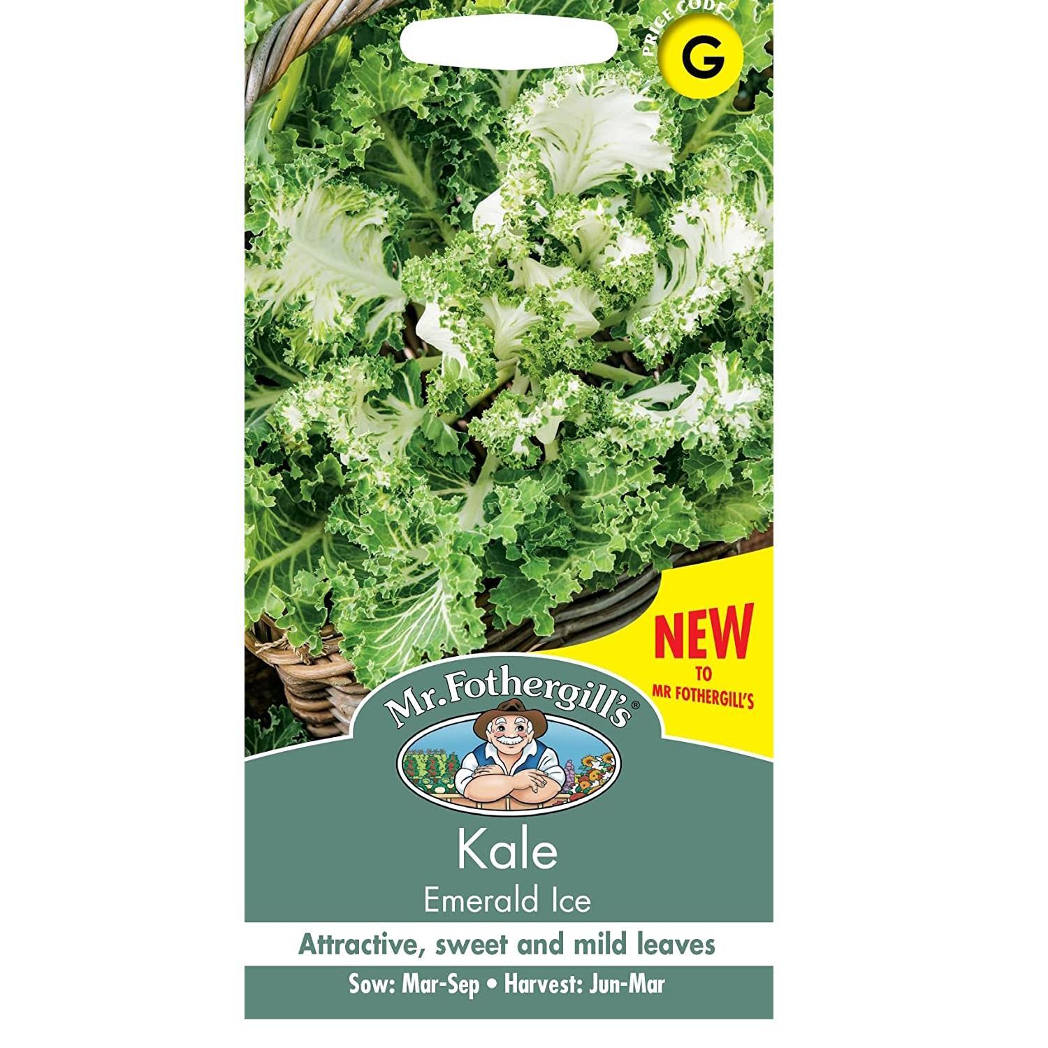 Kale Seeds Grow Your Own Garden Vegetables Emerald Ice Packet Mr Fothergill's