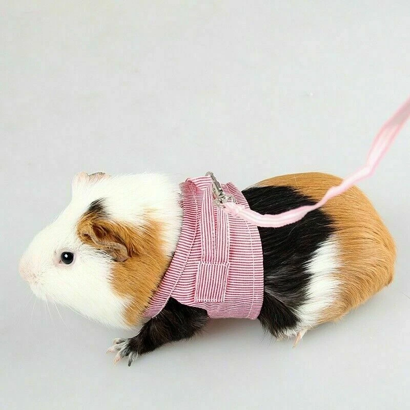 Hamster Lead Leash Chinchilla Dutch Pig Out Pulling Rope Strap Cotton Clothes - Image 2 of 4