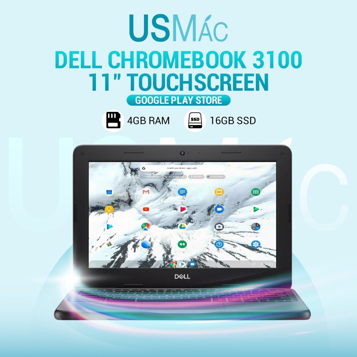 Dell 3100 ChromeBook 11.6