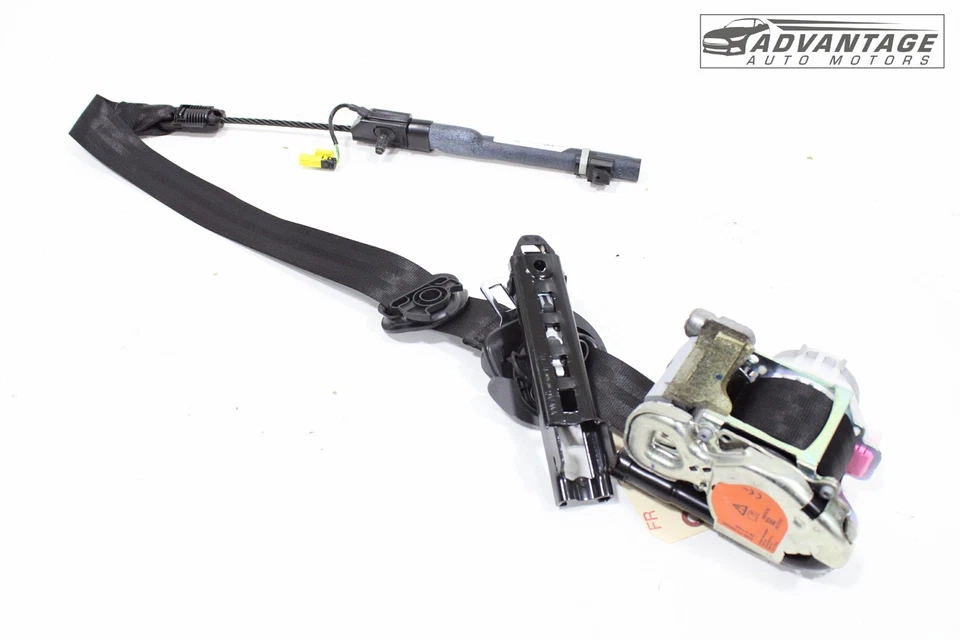 AUDI Q3 QUATTRO 2015-2018 CINTURÓN DE SEGURIDAD LADO PASAJERO DELANTERO DERECHO OEM Foto 2 de 4