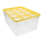  Mini Aquarium Fish Tank: Hydroponic Grow Kit with Planter Lid - Plastic