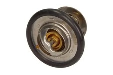 Thermostat Ford ESCORT