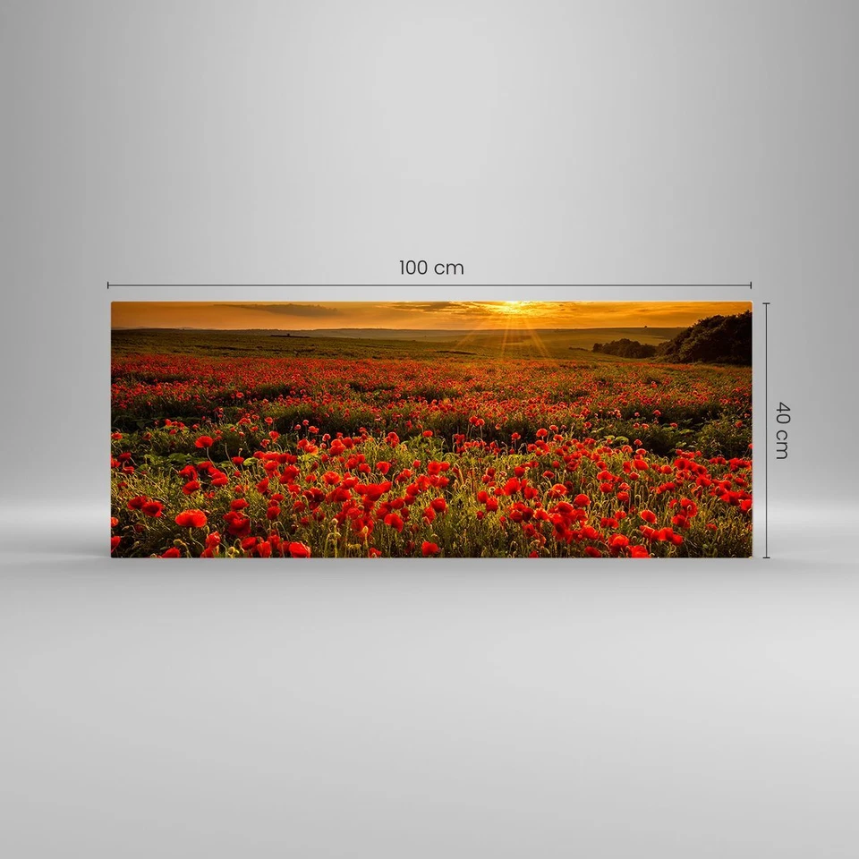 Wandbilder 100x40cm Glasbild Mohn Blume Wiese Groß Bilder Art Wanddeko - Bild 3 von 4