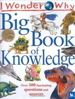 I Wonder Why Big Book of Knowledge (I Wonder Why S.) by  0753411873