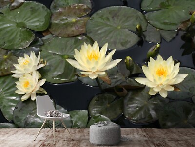 3D Pond Lotus E2203 Wallpaper Mural Paper Wall Print Indoor Murals CA Honey