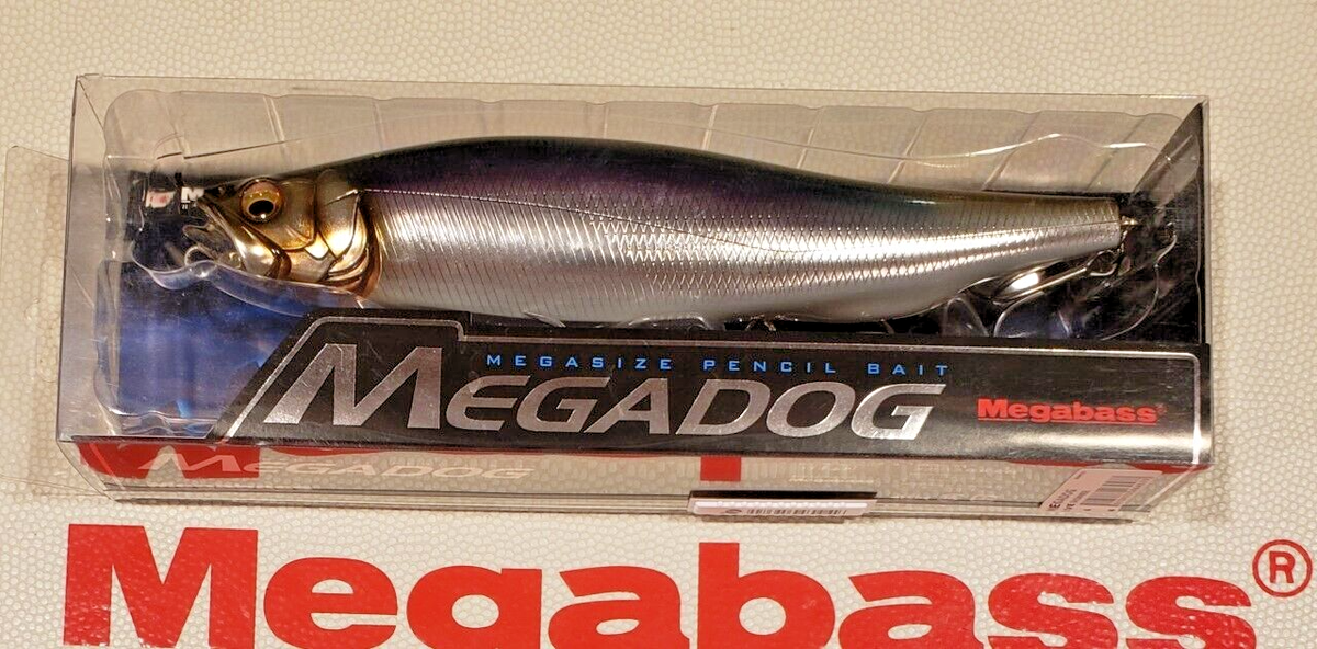 WOW! Megabass Megadog Giant Pencil Bait 220mm! (LIVE SHINNER