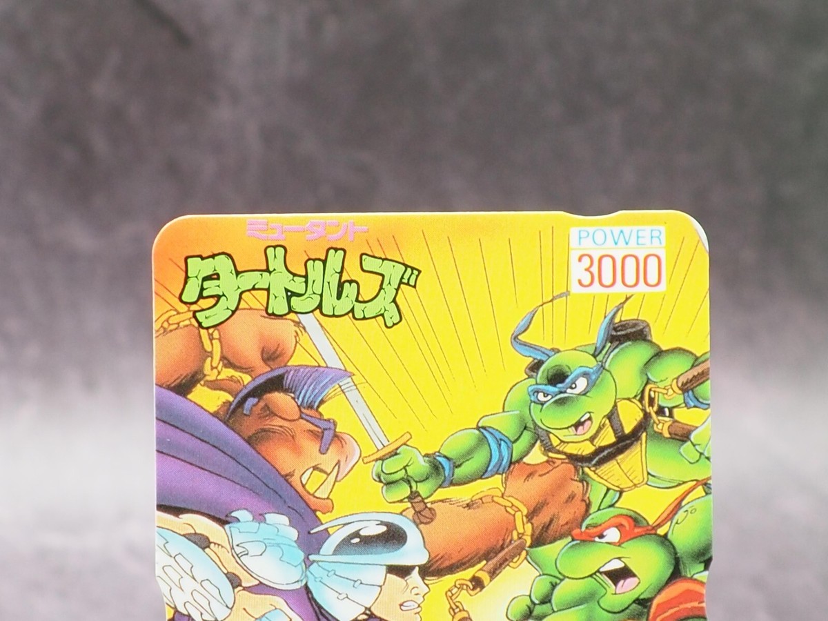 Leonardo Teenage Mutant Ninja Turtles Trading Card No.3 Anime