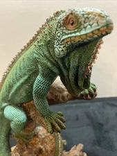 Realistic Resin Iguana Lizard On Driftwood/Wood Branch Figurine Sculpture 10”