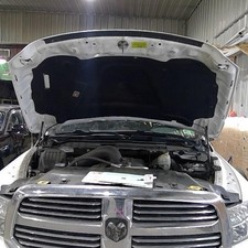 Used Hood Fits 2015 Ram Dodge 1500 Pickup Wo Dual Scoop Grade B
