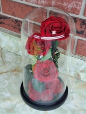 Valentine Roses n Glass Dome Preserved REAL Flowers Sweetheart Gift Girlfriend