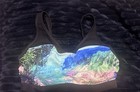 Athleta Palm Dolphin Cove Bikini Swim Top34D/DD Multicolor Swimsuit top — photo 2