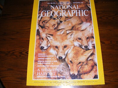 National Geographic Magazine Red Foxes Puzzle, 1000 Pieces