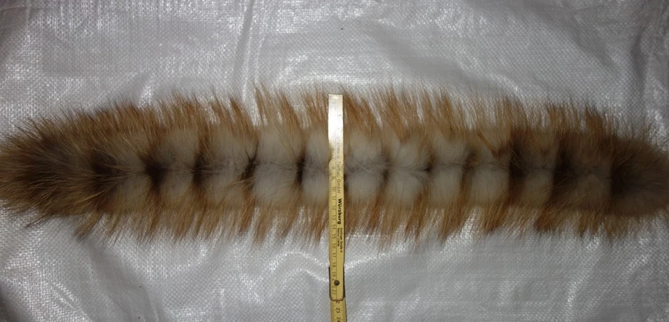 Fuchs Pelz Kapuze Kragen Echt Fellkragen Silberfuchs Pelzkragen für Jacke Parka - Bild 4 von 4