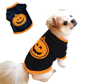 pumpkin sweater for dogs
