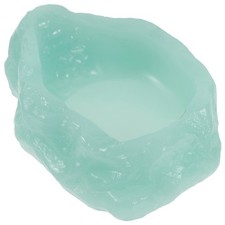 Reptile Feed Dish Lizard Water Bowl Accessories Turtle Feeding Food