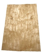 Bouleau Bois Décoratif Placage Bouleau 88x30-31cm 2 Feuilles