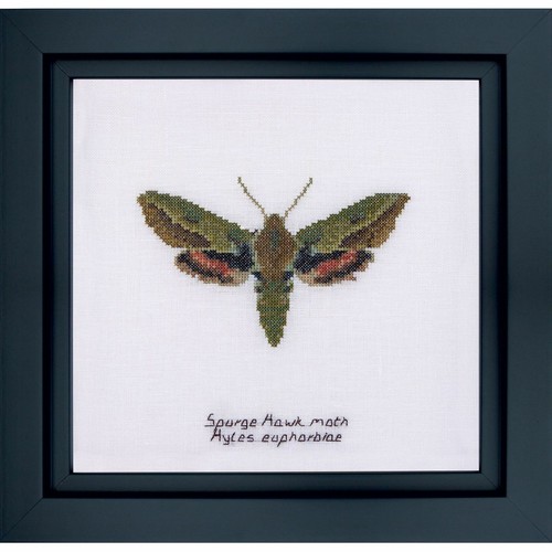 Kit A Punto Croce Papillon Euphorbe 565 Thea Gouverneur - Picture 2 of 7