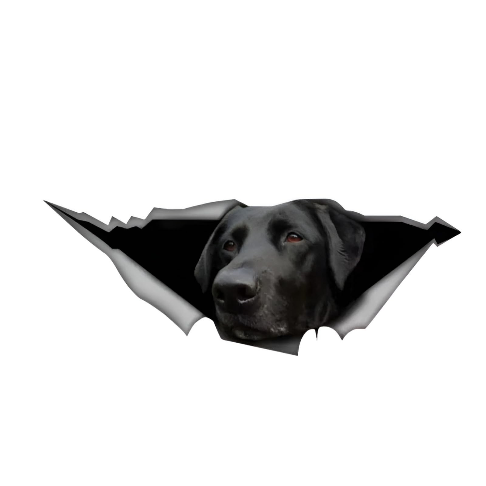 Autocollant Labrador noir 18cm haute résistance pour auto