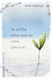 Ce quils nont pas pu nous prendre von Sepetys,Ruta | Buch | Zustand gut