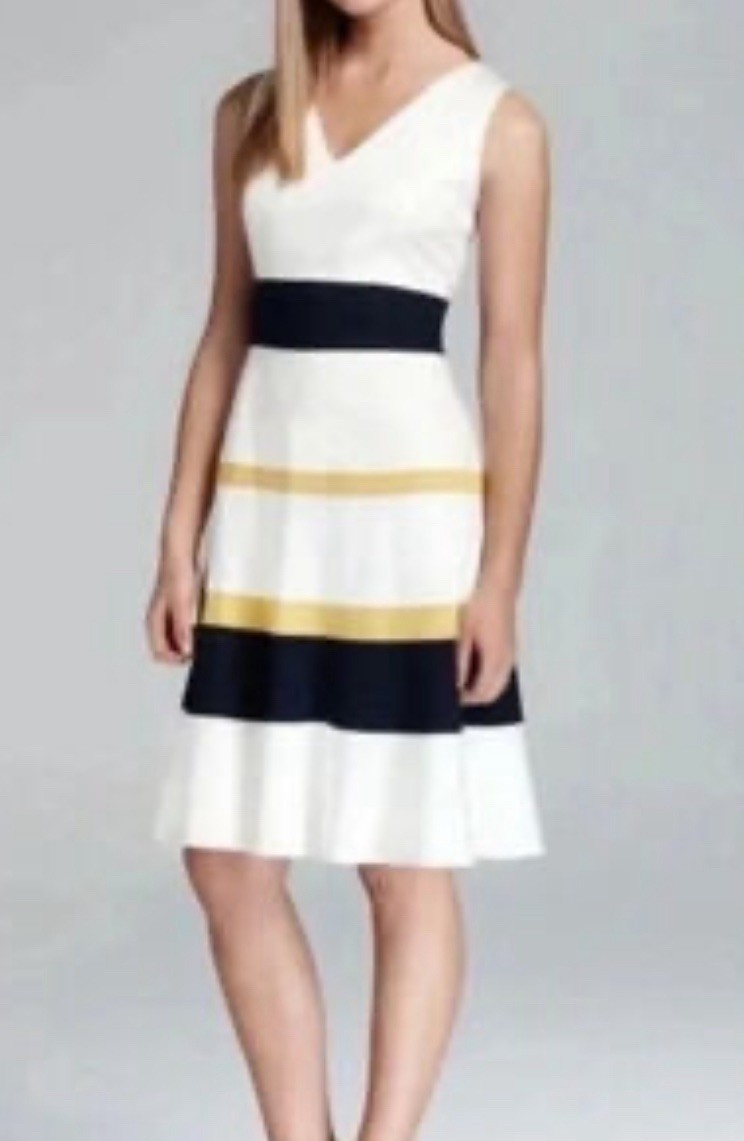 Black Label By Evan-Picone Womens Fit & Flare Dress Size 8 White Blue Striped